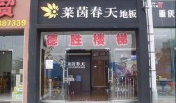 莱茵春天最新爆料,揭秘行业新动态与未来趋势