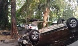 顺德车祸最新爆料,悲剧现场细节曝光，真相渐浮水面