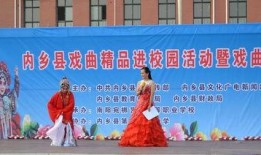 内乡一高最新爆料新闻,揭秘校园热点事件背后的真相